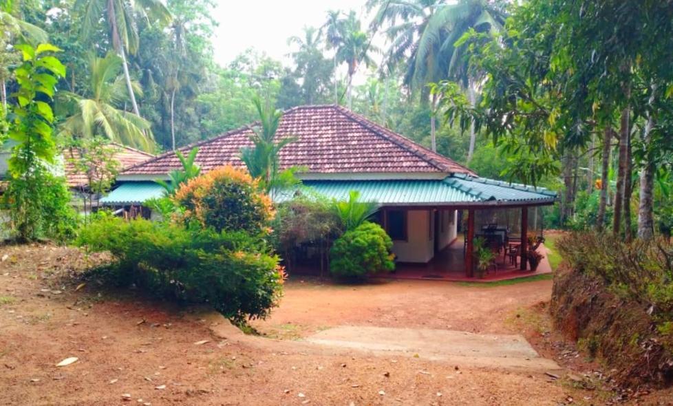 Hiriketiya Green Hill Home Dikwella Esterno foto