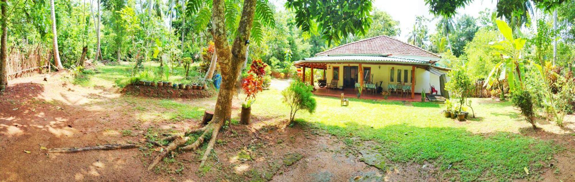 Hiriketiya Green Hill Home Dikwella Esterno foto